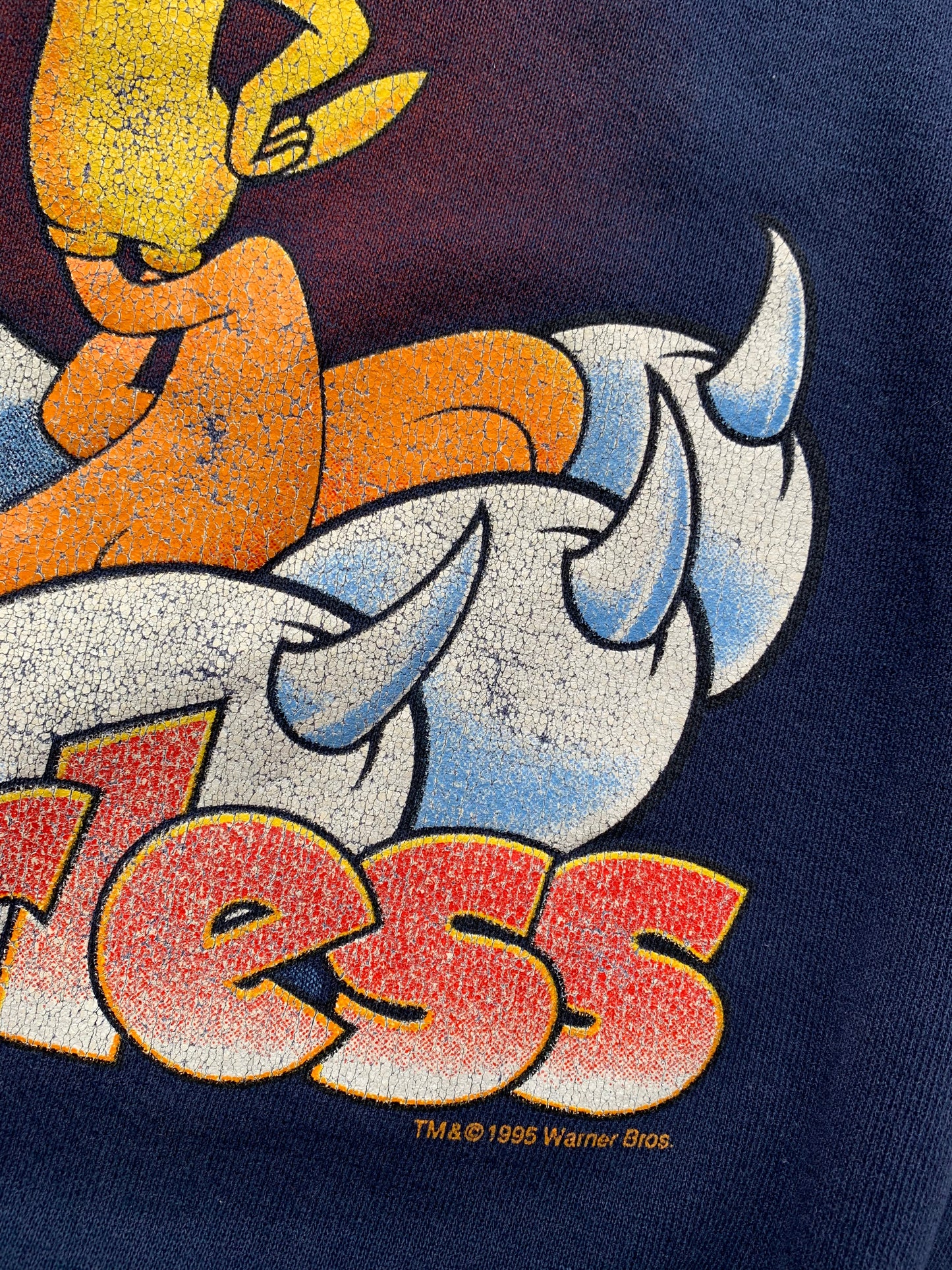 90s Vintage Distressed Sylvester & Tweety Navy Sweatshirt